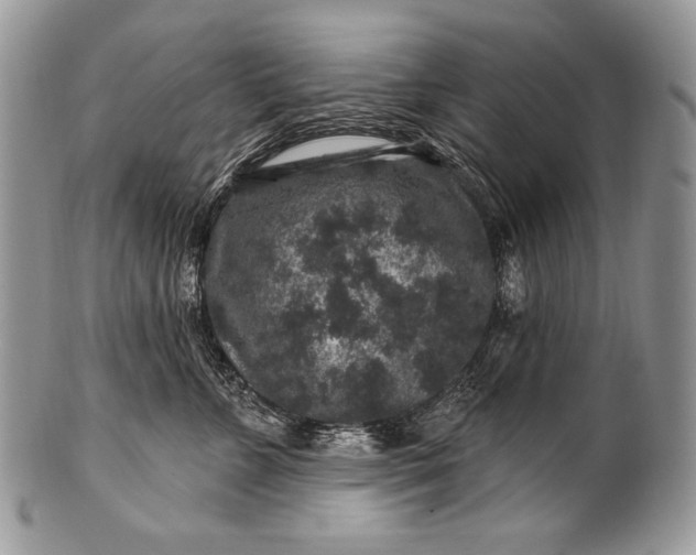 X0000100390715200806201714