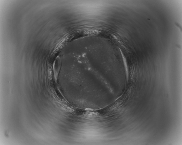 X0000100390716200806201714