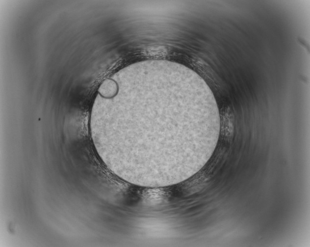 X0000100390717200806201714