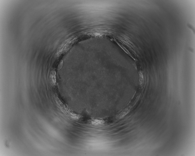 X0000100390718200806201714