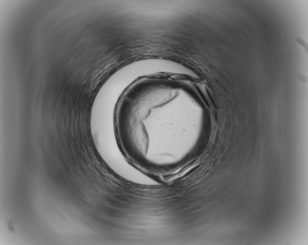 X0000100390720200806201714