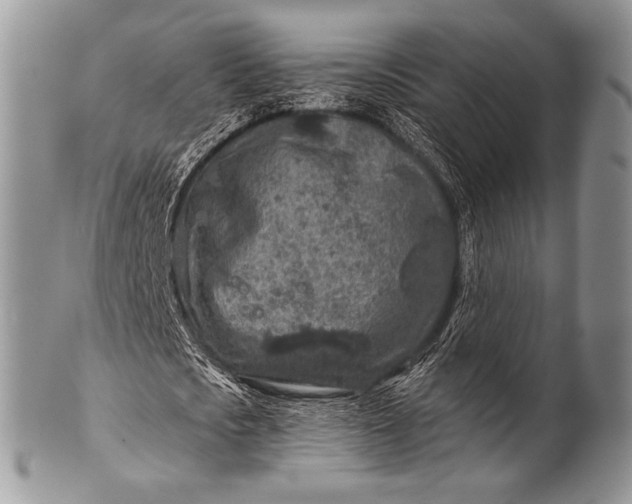 X0000100390721200806201713