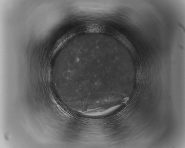 X0000100390722200806201713