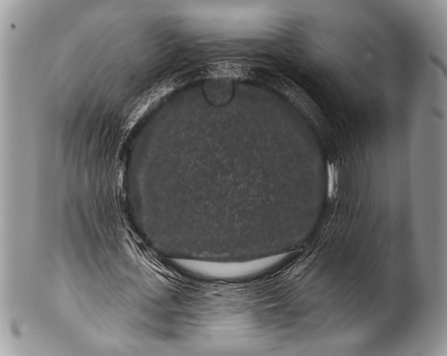 X0000100390723200806201713