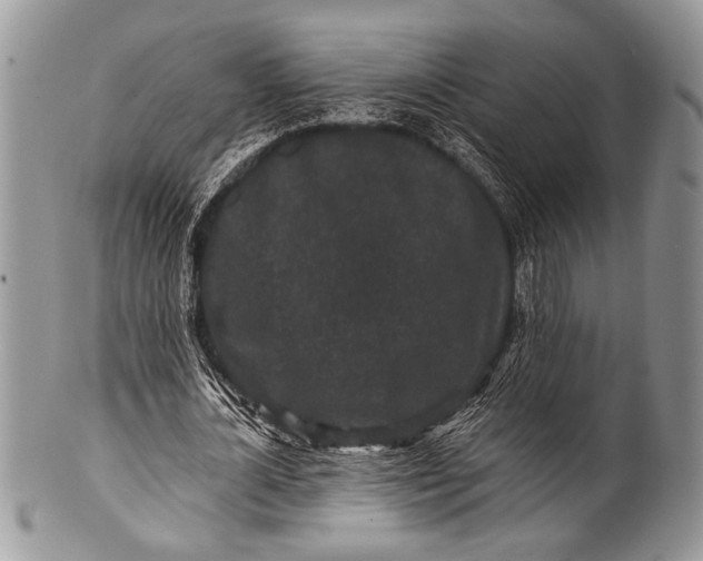 X0000100390724200806201713