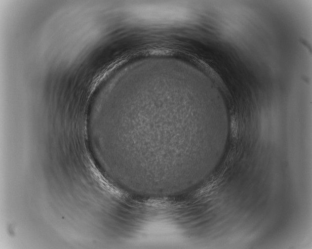 X0000100390725200806201713