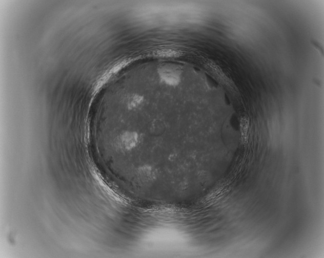 X0000100390726200806201713