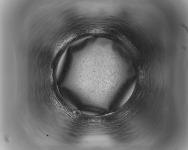 X0000100390727200806201713