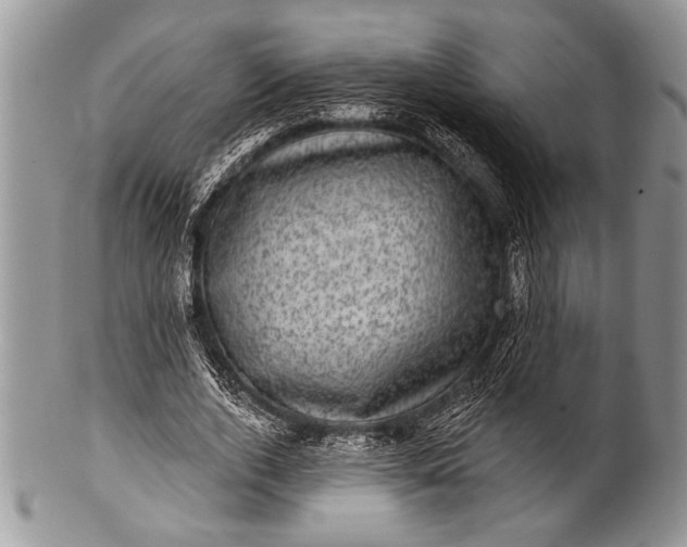 X0000100390728200806201713