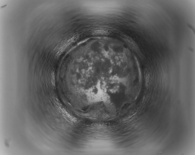 X0000100390729200806201713