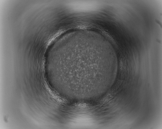 X0000100390730200806201713