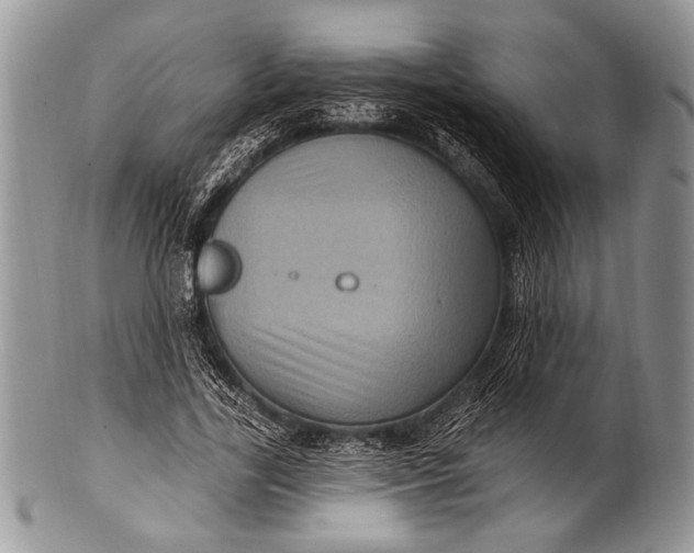 X0000100390731200806201713