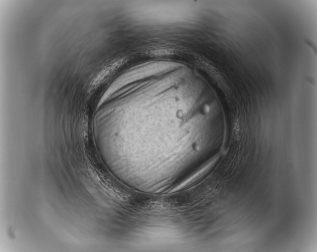 X0000100390732200806201713