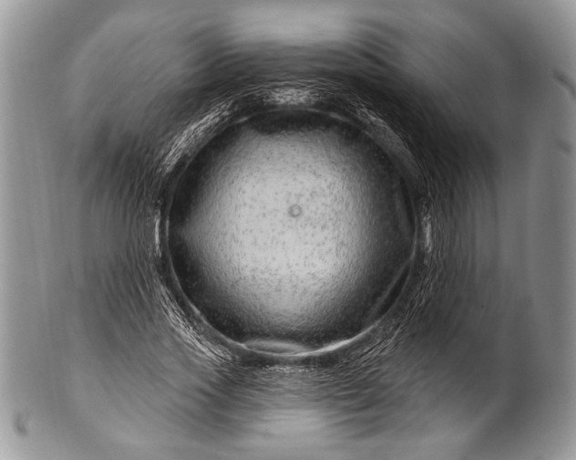 X0000100390733200806201713