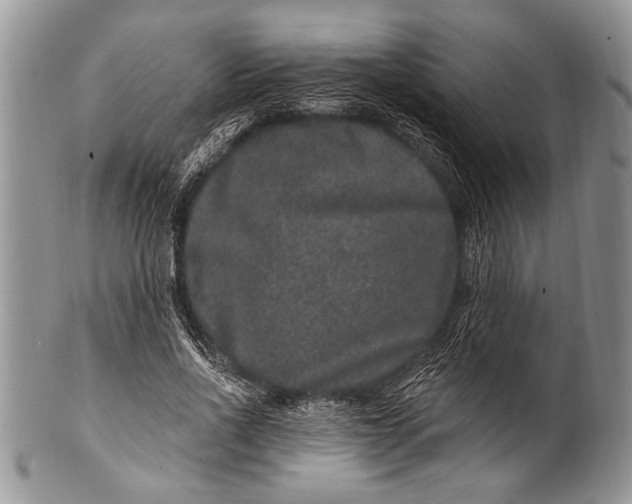 X0000100390734200806201713