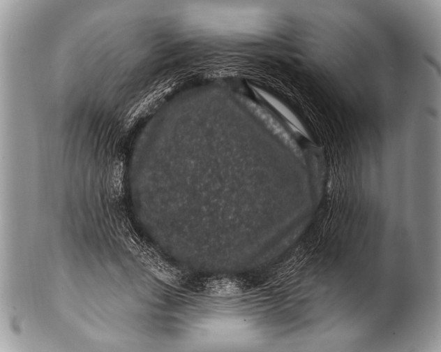 X0000100390735200806201713