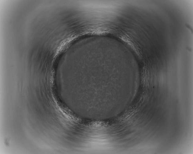 X0000100390736200806201713