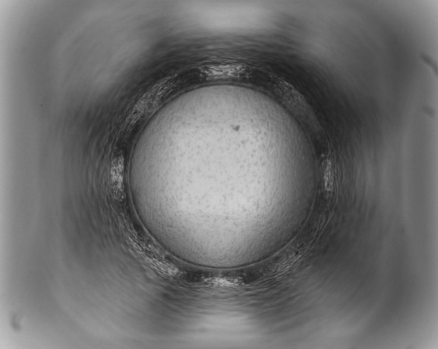 X0000100390737200806201713