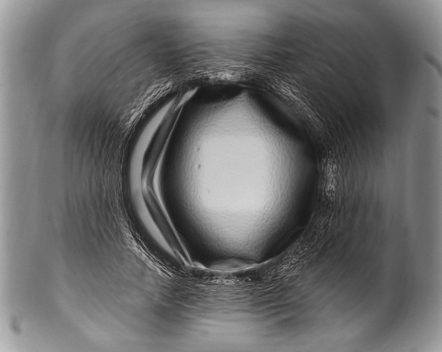 X0000100390738200806201713