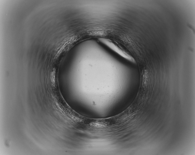 X0000100390739200806201713