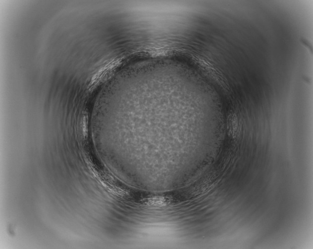 X0000100390740200806201713