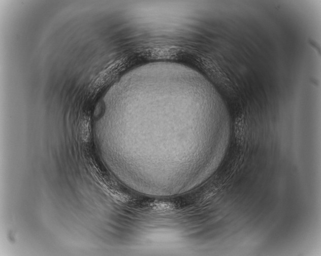 X0000100390741200806201713