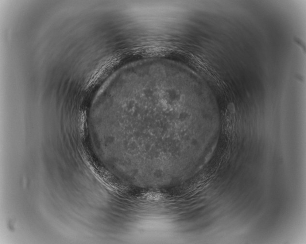 X0000100390742200806201713