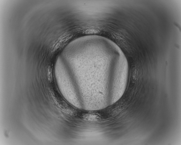 X0000100390743200806201713