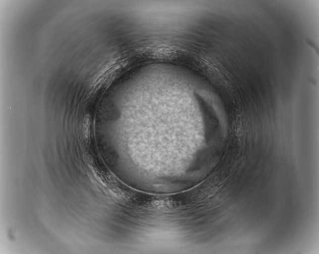 X0000100390744200806201713