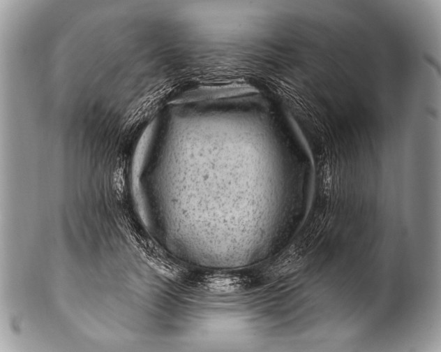 X0000100390746200806201713