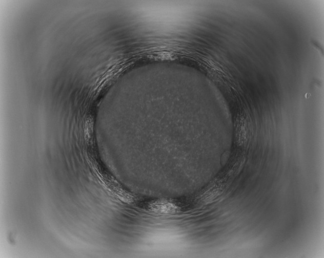 X0000100390747200806201713