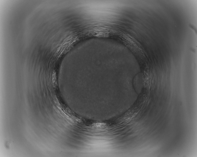 X0000100390748200806201713