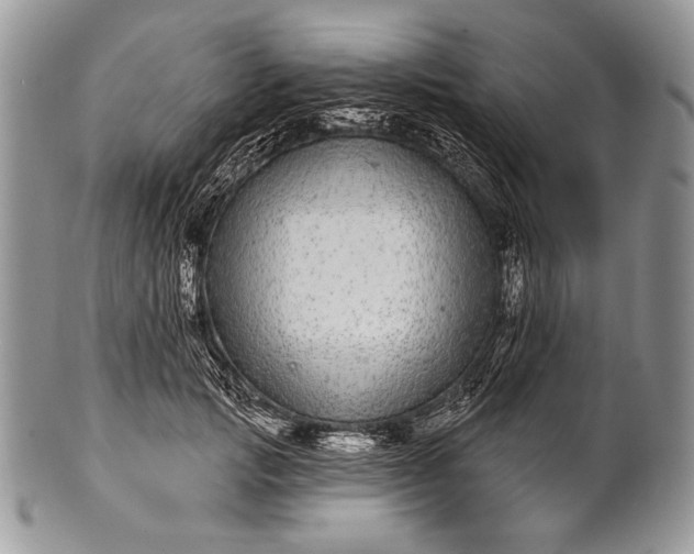 X0000100390749200806201713