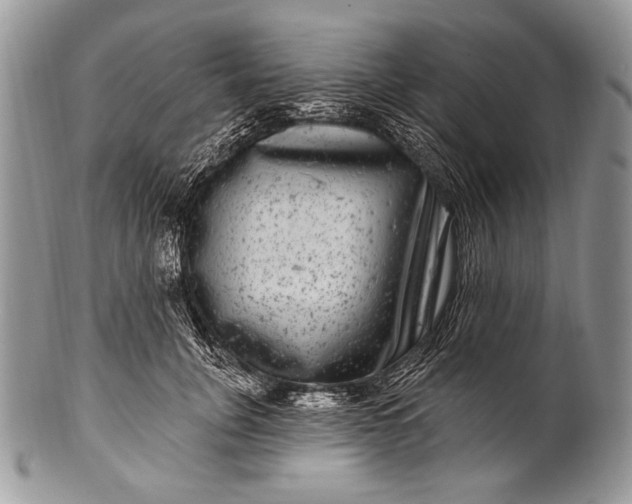 X0000100390751200806201713