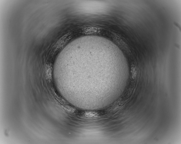 X0000100390753200806201713