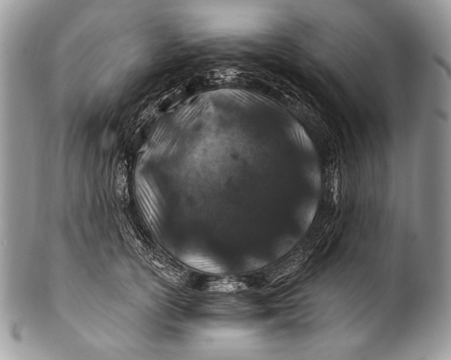 X0000100390754200806201713