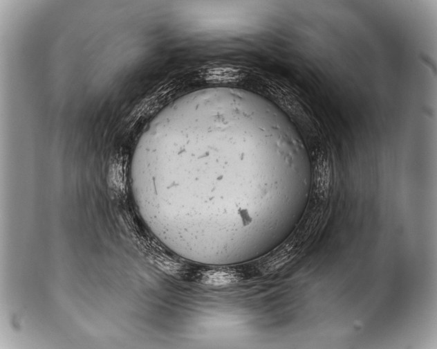 X0000100390755200806201713