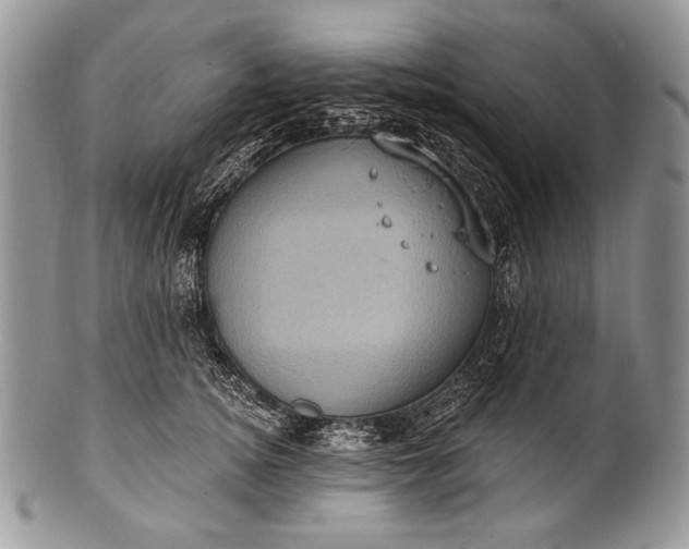 X0000100390756200806201713