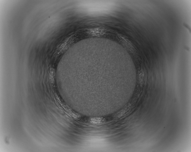 X0000100390757200806201713