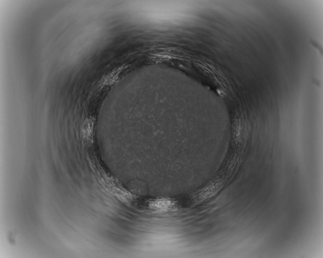 X0000100390759200806201713