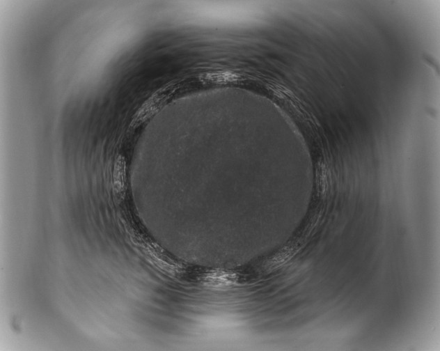 X0000100390760200806201713