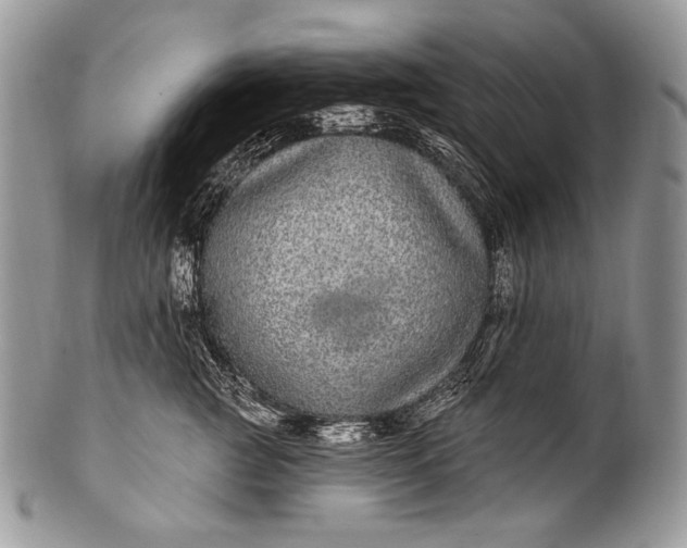 X0000100390761200806201713