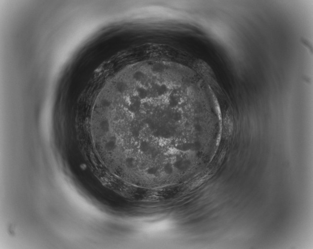 X0000100390765200806201714