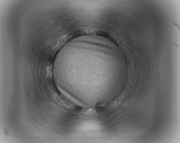 X0000100390768200806201714