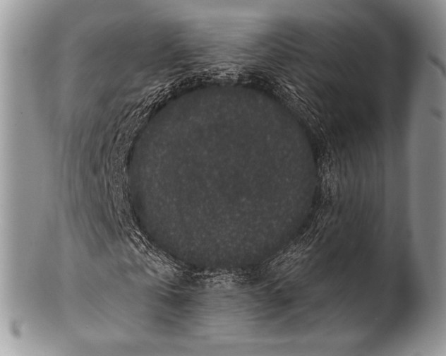 X0000100390769200806201713