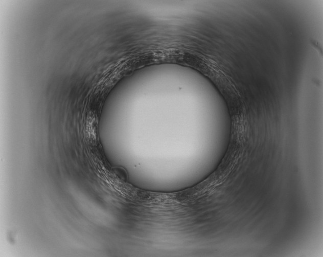 X0000100390770200806201713