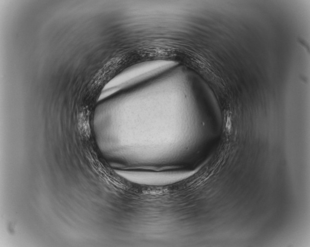 X0000100390771200806201713