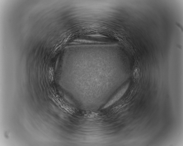 X0000100390772200806201713