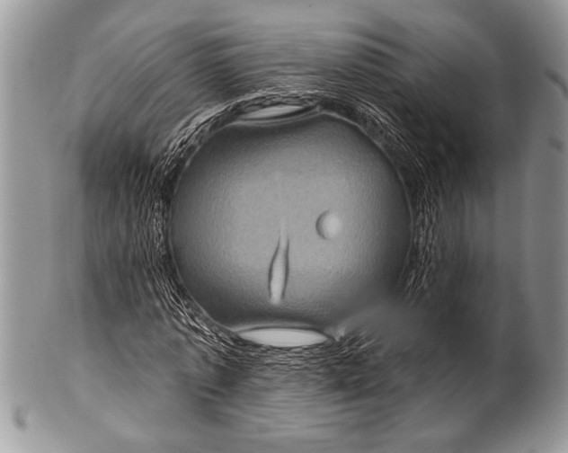 X0000100390773200806201713