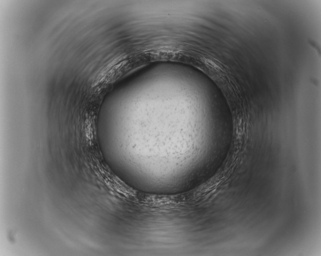 X0000100390774200806201713